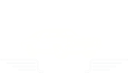 Vinnie's Mr. Fixit in Guelph Ontario Logo